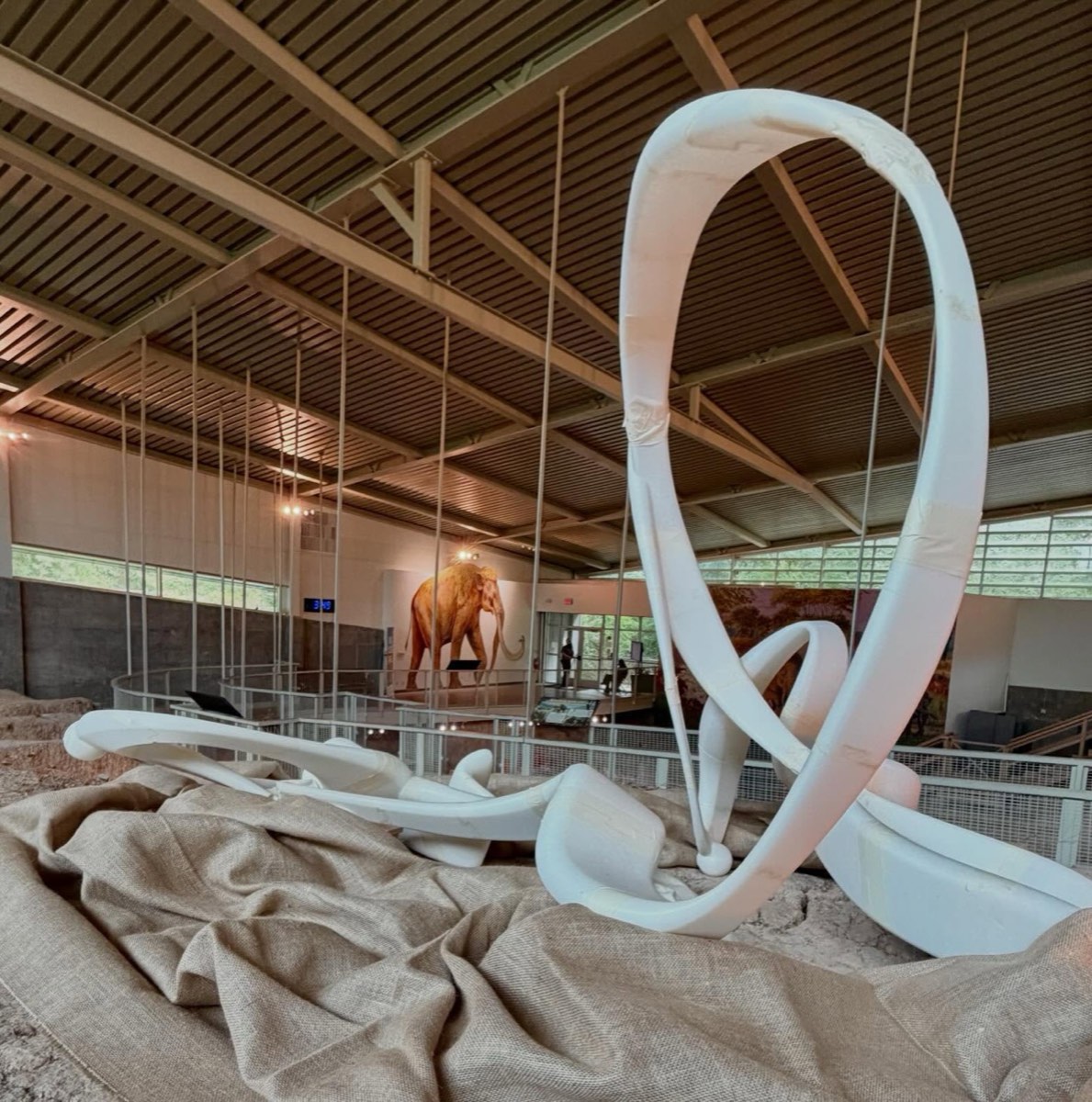 Studio reference — Merli Guerra performance